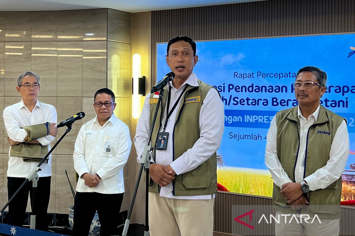 Agenda Utama: Bulog dapat subsidi bunga 2 persen kejar penyerapan 4 juta ton beras
