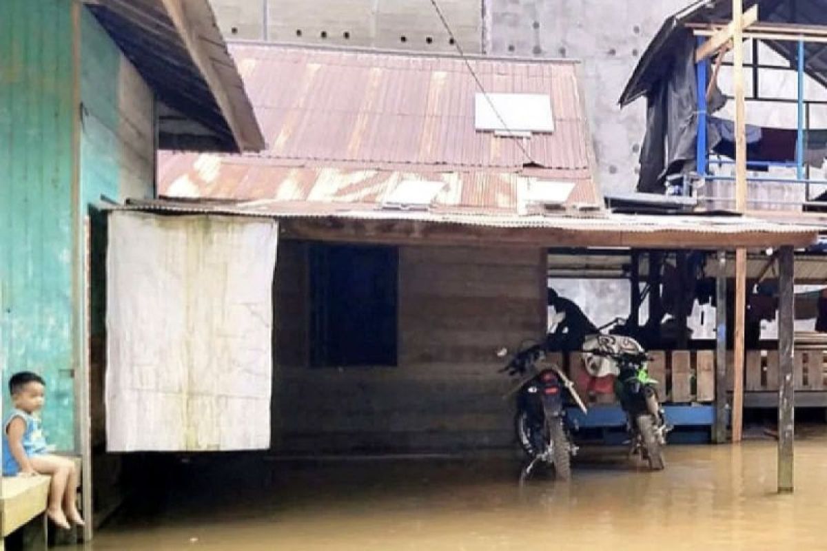 Sungai Mentaya meluap – enam desa di Kotawaringin Timur terendam banjir