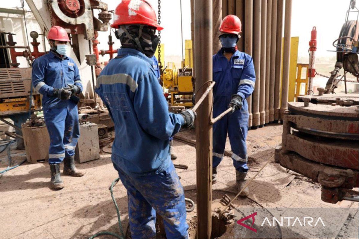 Irak bisa pulihkan produksi minyak dalam sepekan usai Hormuz dibuka