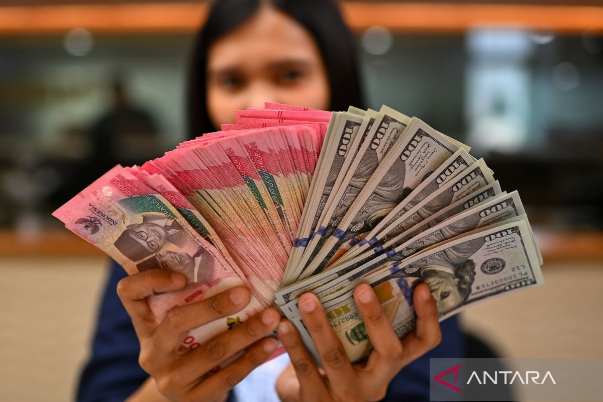 Pakar: Pelemahan rupiah pengaruhi harga bahan baku produk impor