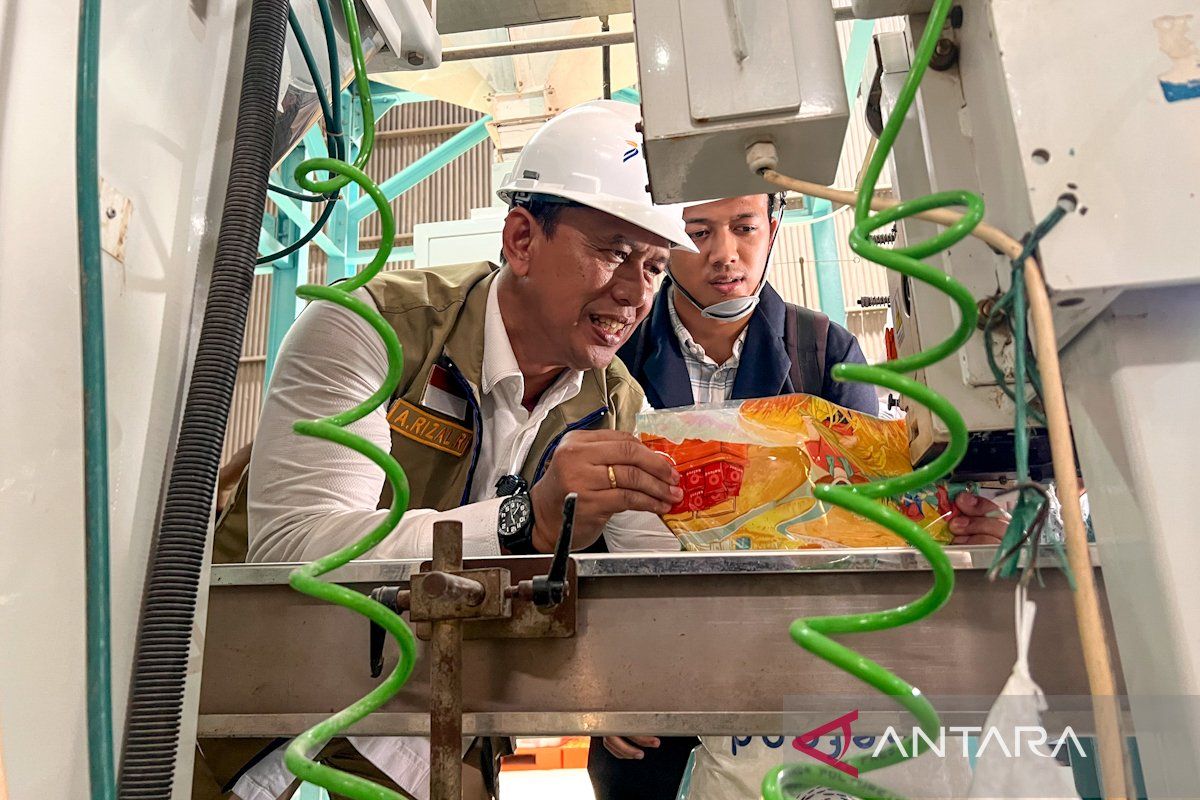Key Discussion: Bulog usulkan program Beras Kita Premium untuk stabilisasi harga