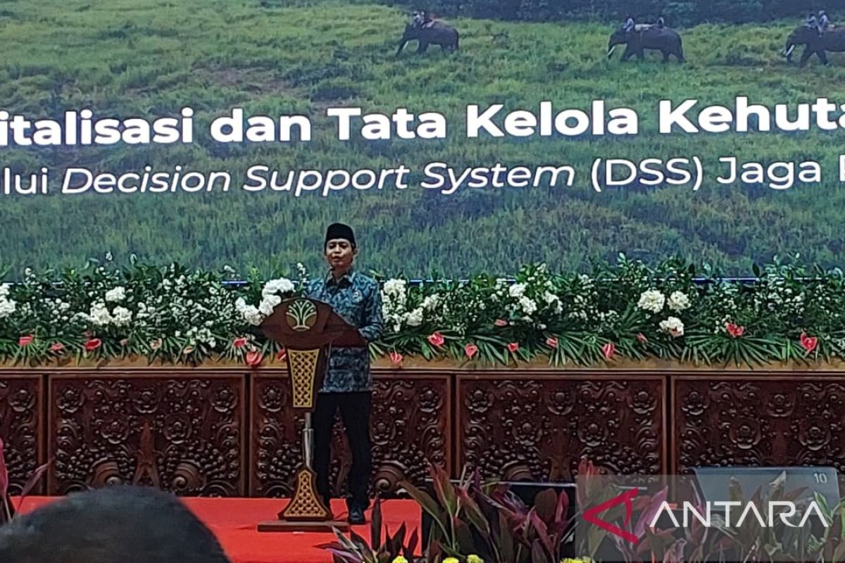 Special Plan: Menhut luncurkan DSS Jaga Rimba permudah tata kelola hutan