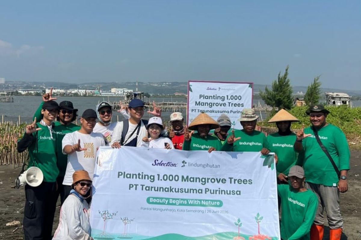 Key Strategy: Aksi penyelamatan ekosistem tanam mangrove di pesisir kritis Semarang
