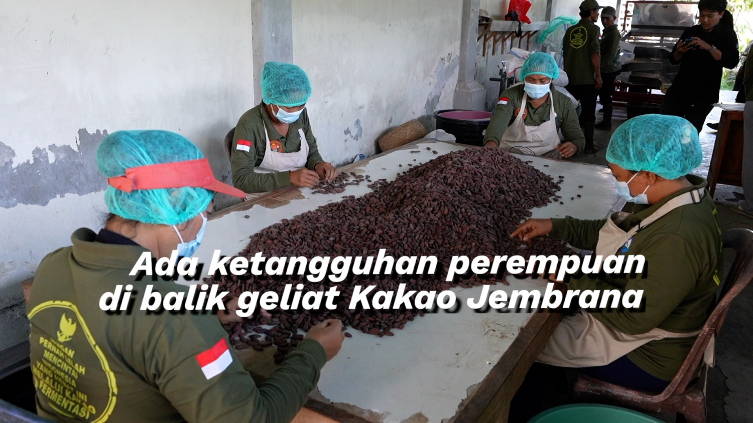 Key Discussion: Ada ketangguhan perempuan di balik geliat kakao Jembrana