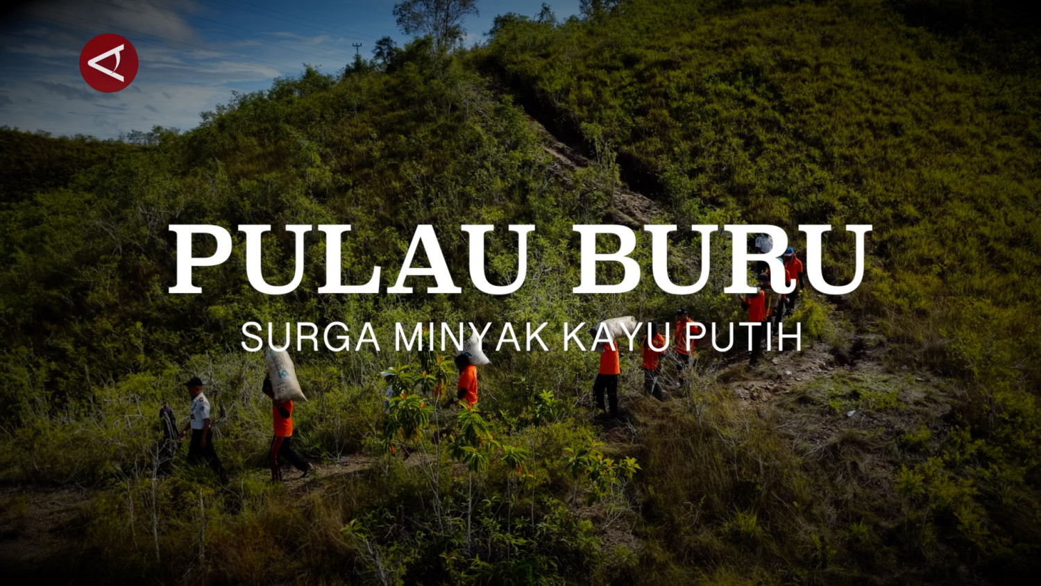 Pulau Buru – surga minyak kayu putih (bagian 2)