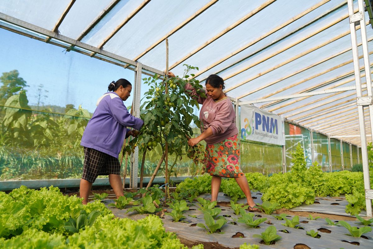 New Policy: Indonesia Sustainability Award apresiasi komitmen ESG dan pemberdayaan berkelanjutan PNM