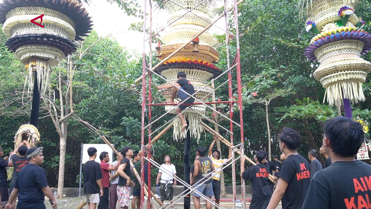 KEK Kura-Kura Bali ajak muda-mudi Desa Serangan gelar Festival Penjor