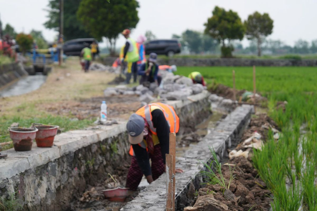 New Policy: CORE: Jaringan irigasi jadi kunci jaga produksi pangan hadapi El Nino