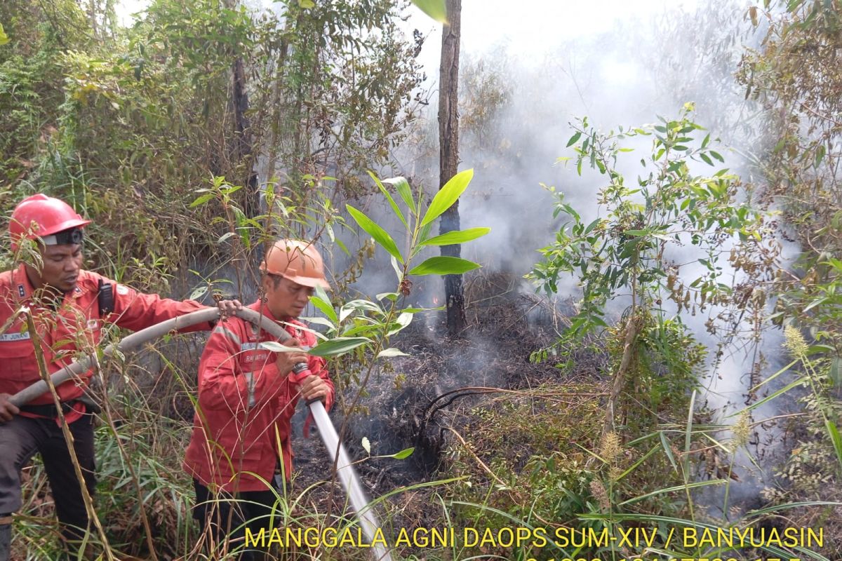 Key Issue: Luasan karhutla di Sumsel capai 305,4 hektare hingga Mei 2026