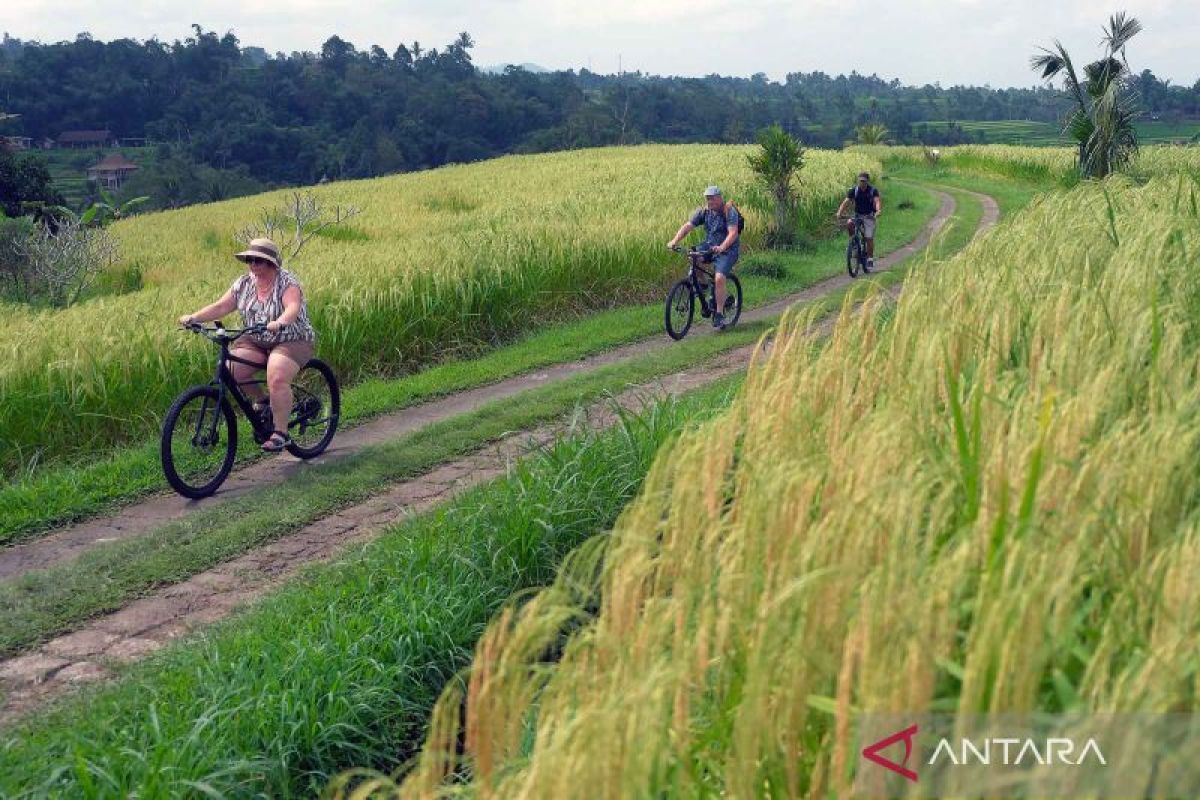 Key Discussion: Program “Seeds of Change” dukung inovasi pariwisata berkelanjutan