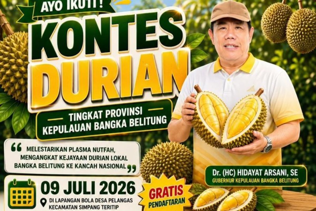 What Happened During: Babel gelar kontes durian lokal guna angkat ke tingkat nasional