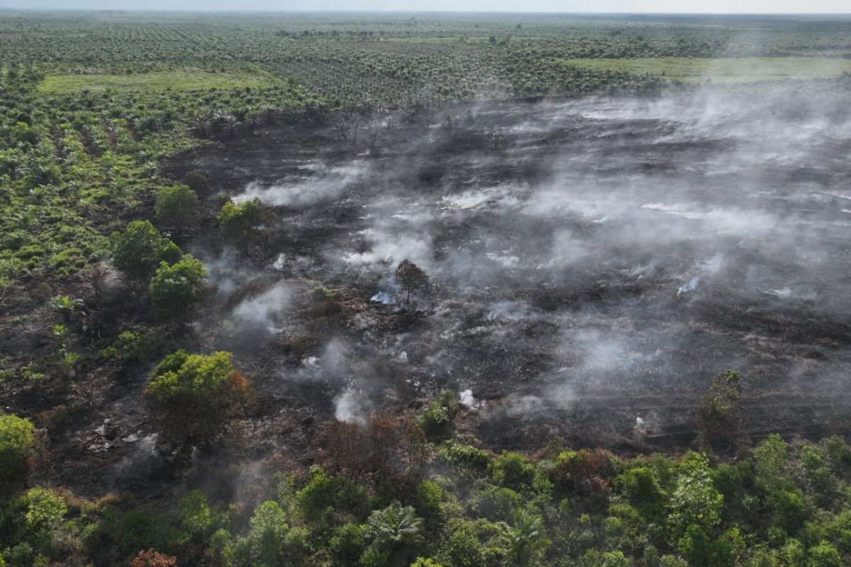 Manggala Agni temukan karhutla seluas 7 hektare di Rokan Hilir Riau