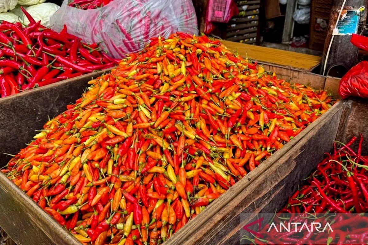 Latest Program: Harga cabai rawit Rp63.200/kg, telur ayam Rp29.150/kg pada Jumat pagi