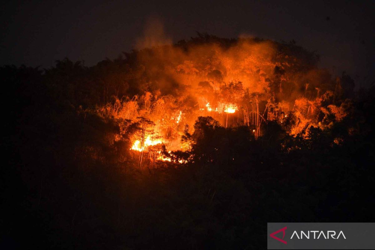 Kebakaran hutan di Gunung Jati