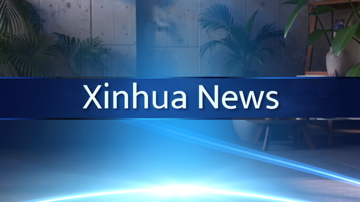 Perusahaan tambang China didorong perkuat kepatuhan regulasi di Indonesia