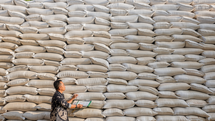 Serapan Bulog dinilai kunci jaga harga gabah saat beras surplus