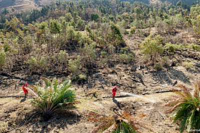 15 hari Manggala Agni berjibaku padamkan karhutla OKI