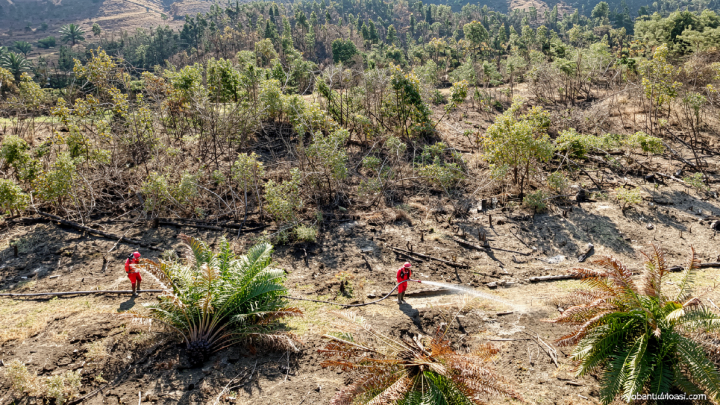 15 hari Manggala Agni berjibaku padamkan karhutla OKI
