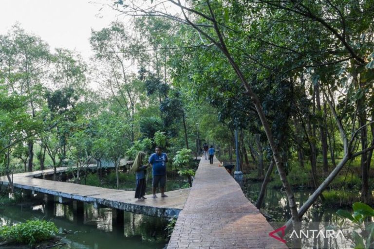 target-pemenuhan-ruang-terbuka-hijau-di-jakarta-2815312